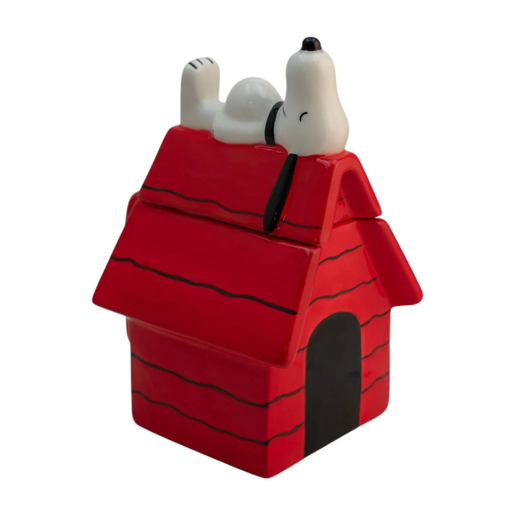 Taza De Cerámica 3D Con Tapa Casa Snoopy Peanuts 591ml